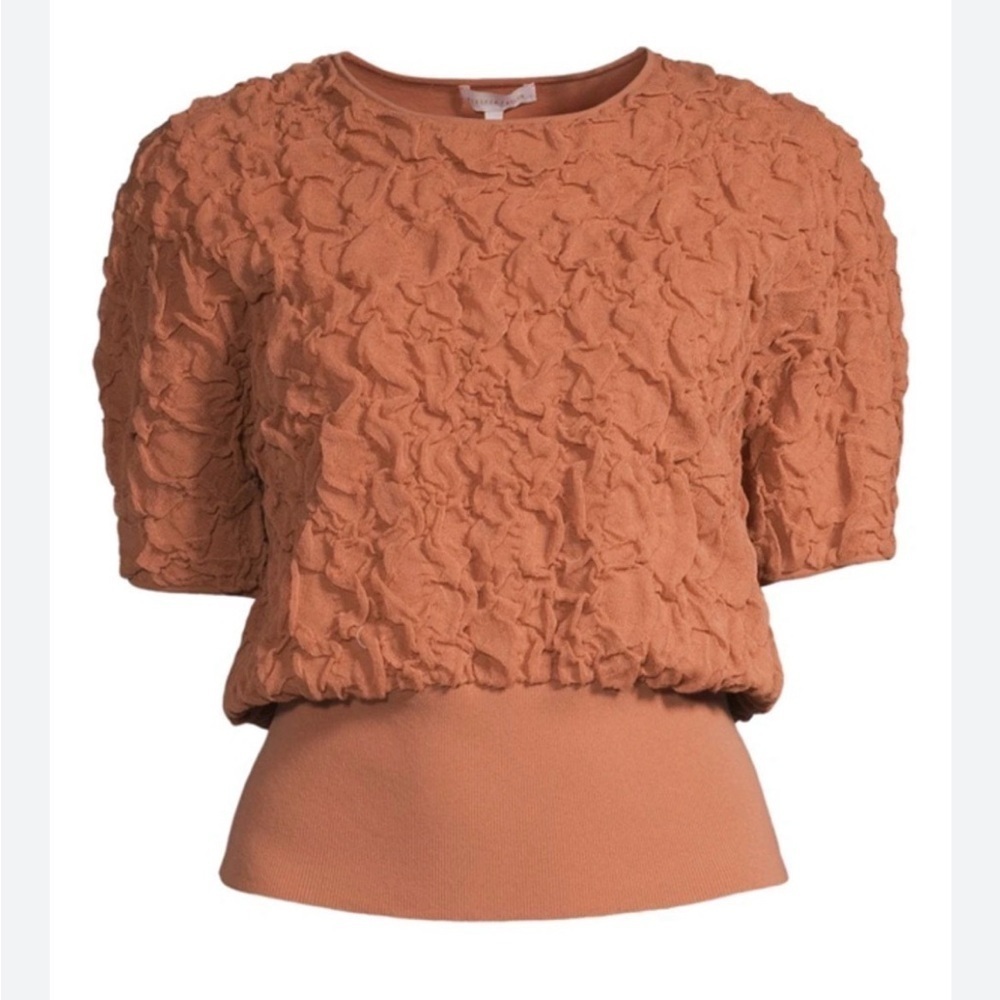 REBECCA TAYLOR TEXTURED SHORT SLEEVE SWEATER IN RUM COLOR SIZE S VERY STRETCHY